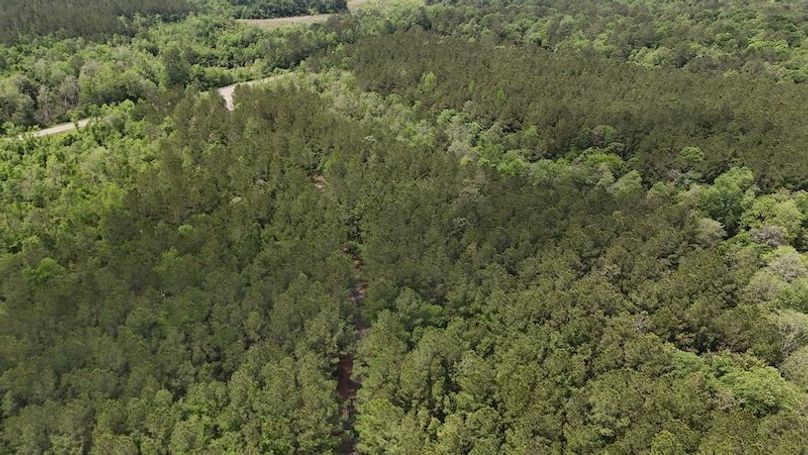 DJI_20250502120723_0005_D