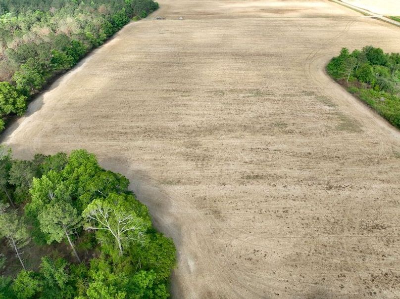 dji_fly_20260427_095406_608_1777299971015_photo