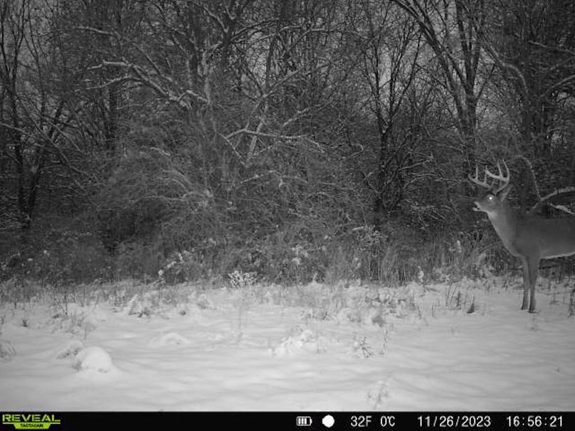 868032067149447-1-4-11262023165620-V-W1004330