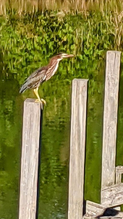 PXL_20210629_220132225~2