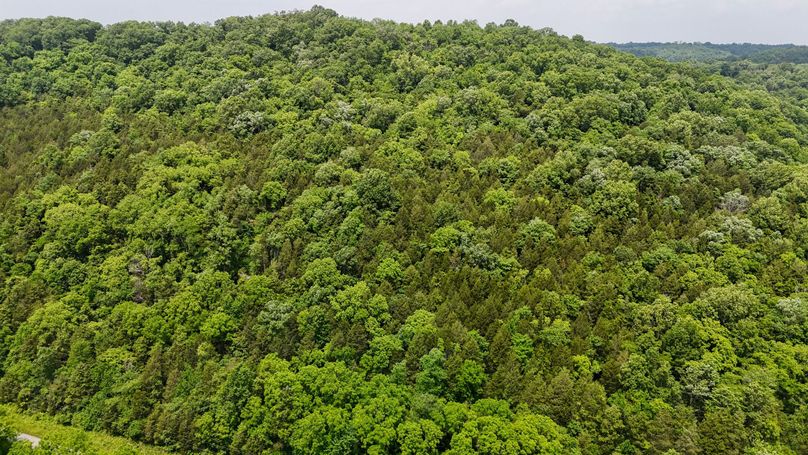 DJI_20250604132729_0015_D