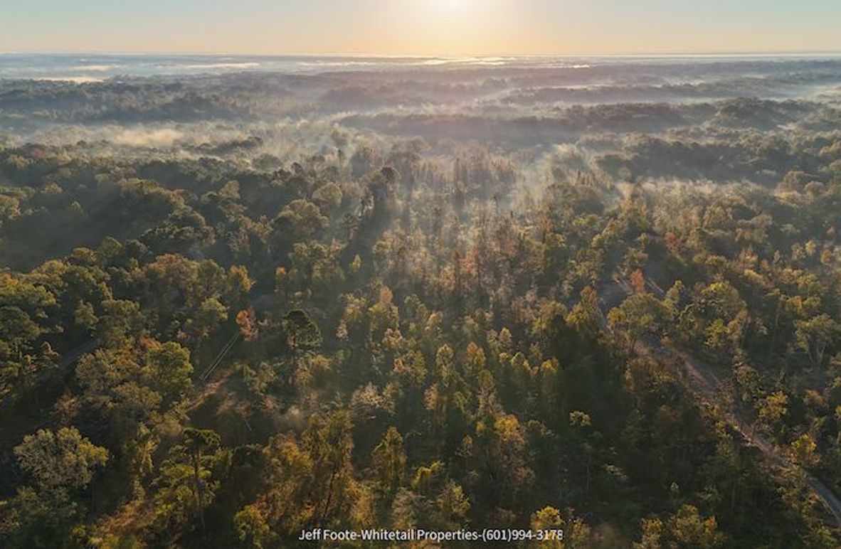 Claiborne Co-151-Geronimo-04