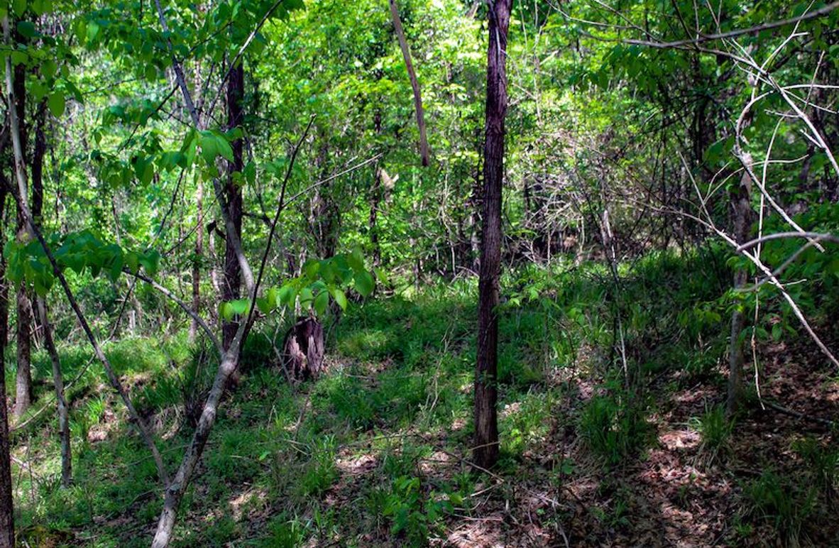 Warren Co - 34.52 - Roy-06