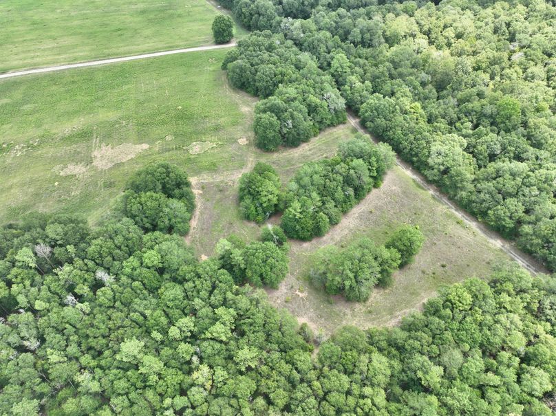 dji_fly_20230731_132332_440_1690845812659_photo