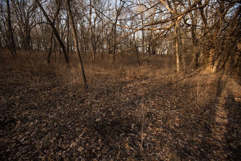 PAGE CO IA 130+_-_41