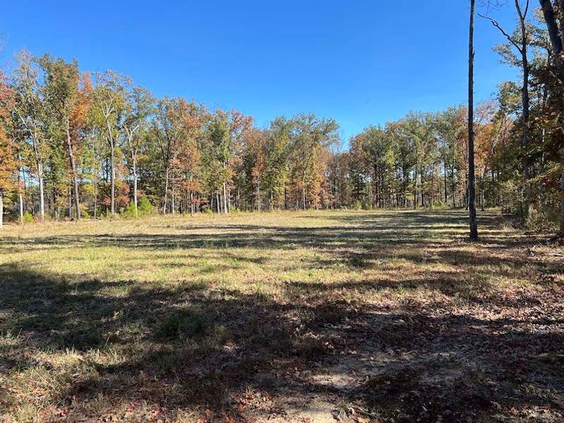 jeff 5020251111_0330