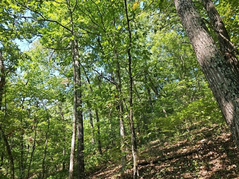 DJI_20240808_103934_145