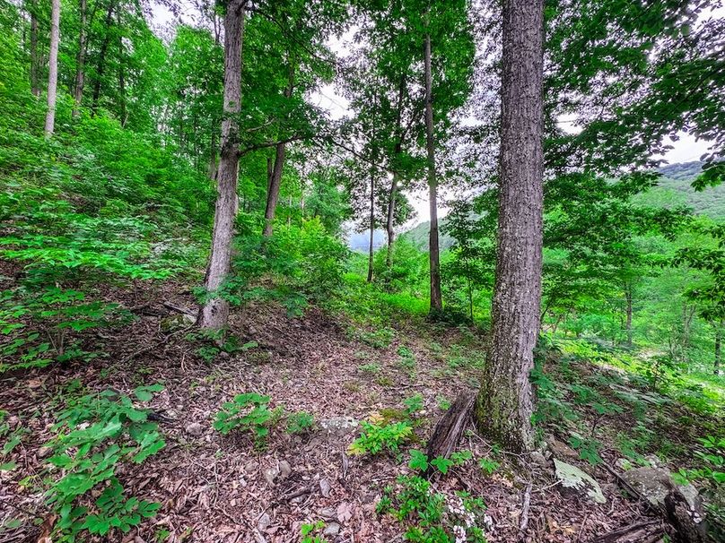 Clay, WV 14.839 AC-10