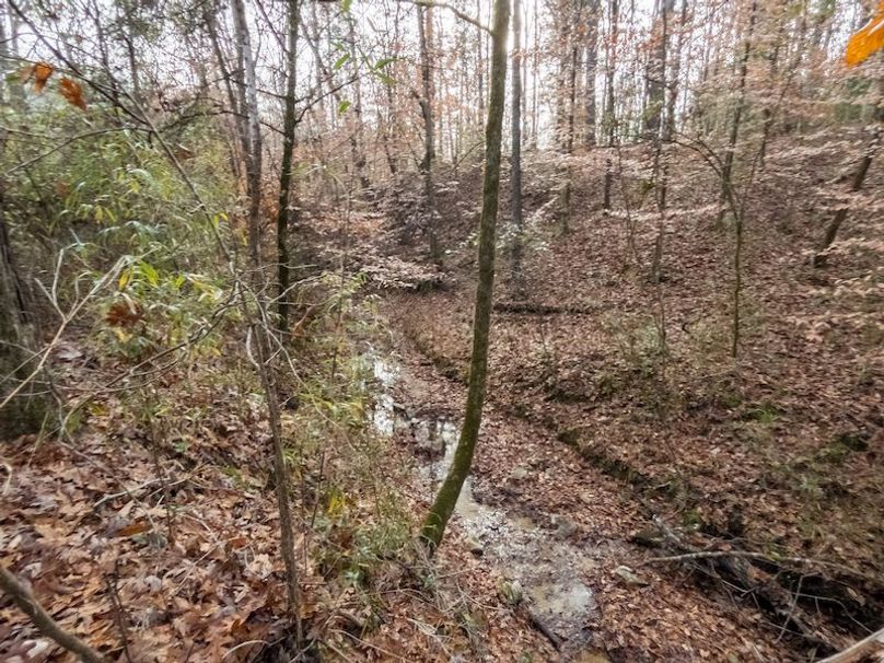 Claiborne Co - 274 - Marian-021