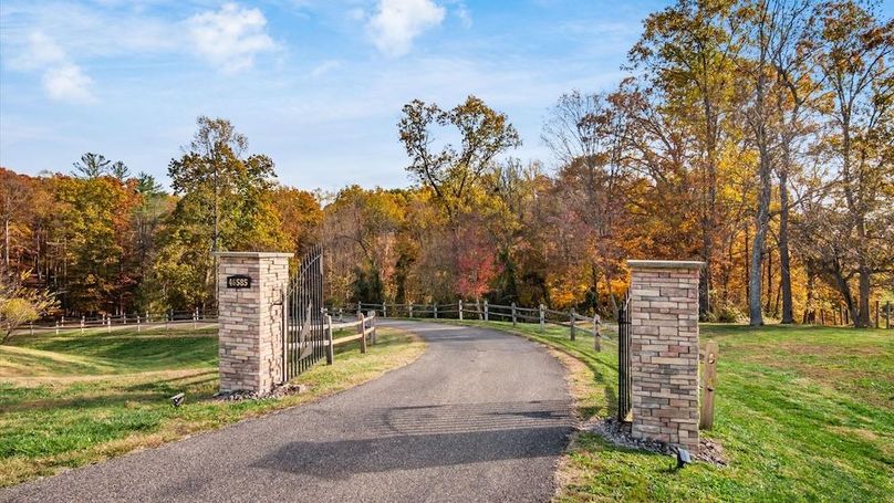 79-z 46585 Morning Star131-2