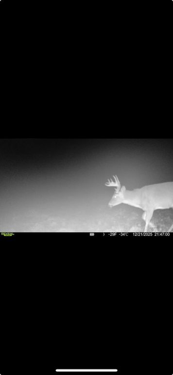 Screenshot 2026-01-06 at 4.29.37 PM