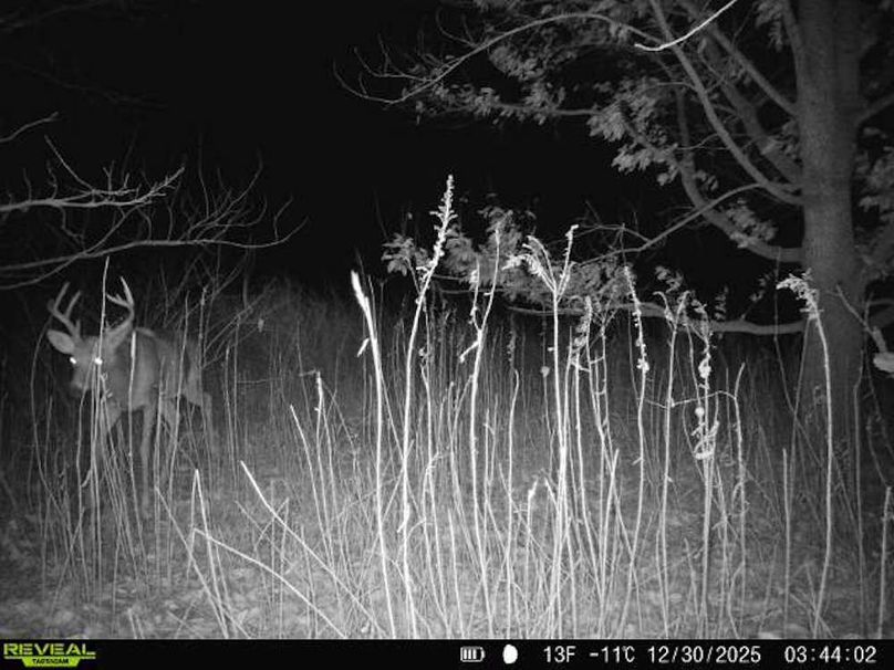 860516067527659-1-2-12302025034402-V-W1000330