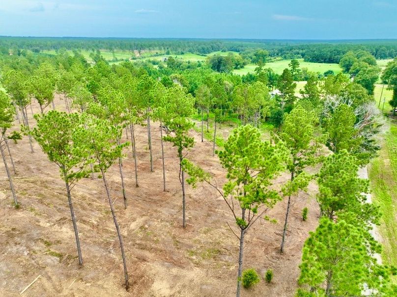 EDE6F339-6E90-4450-982C-ED6B6D533266_1_105_c