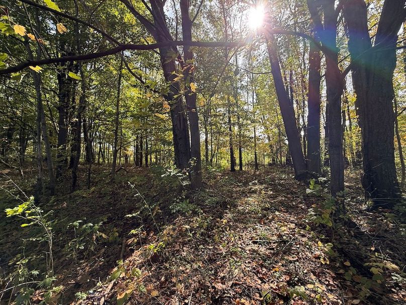 Cayuga_55.02_Herman Photo 29