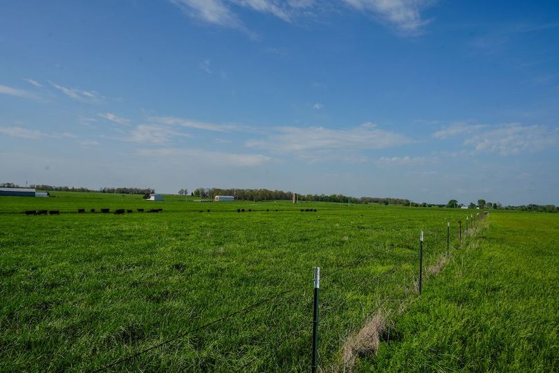 DSC06384