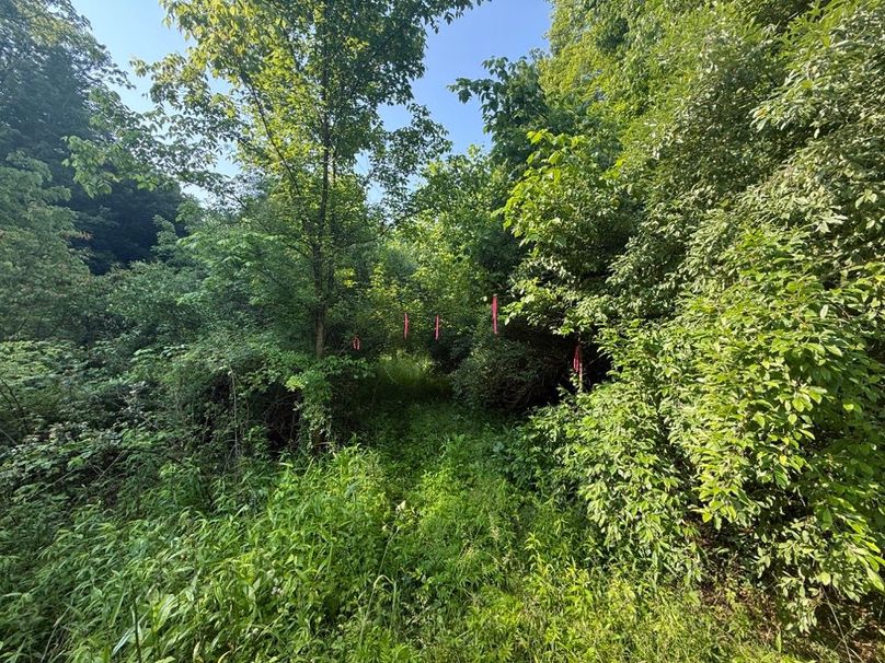 008 the entrance in at the north boundary-2