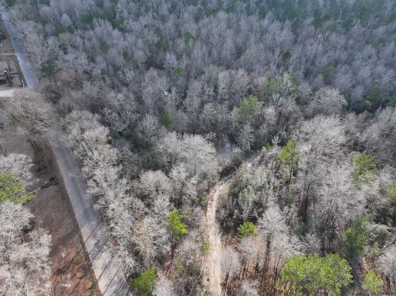 dji_fly_20260212_135526_0029_1771284253439_photo