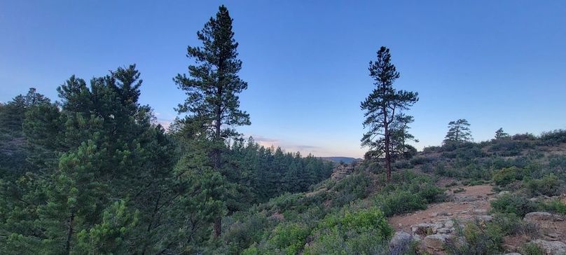 Copy of 20210827_070709 (1)