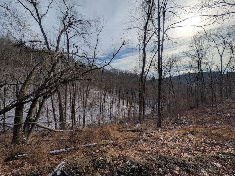 PXL_20260112_165304505