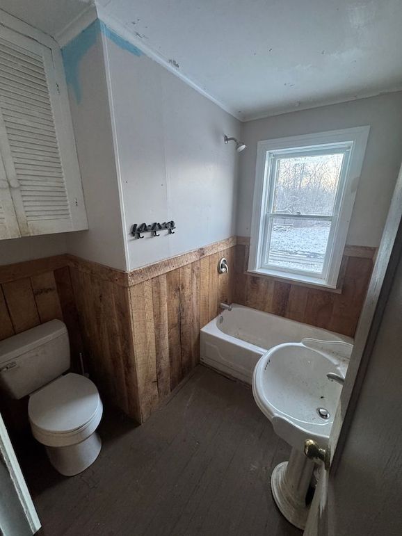 IMG_20251210_061536 (8)