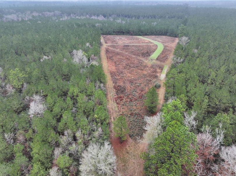 dji_fly_20260122_094140_0851_1769444813718_photo