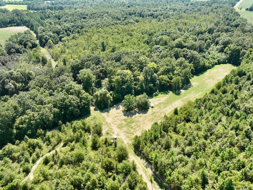 dji_fly_20250903_114210_116_1756914524414_photo