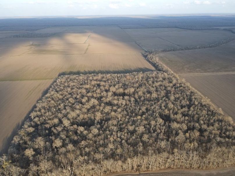 dji_fly_20240303_171616_111_1709507795519_photo