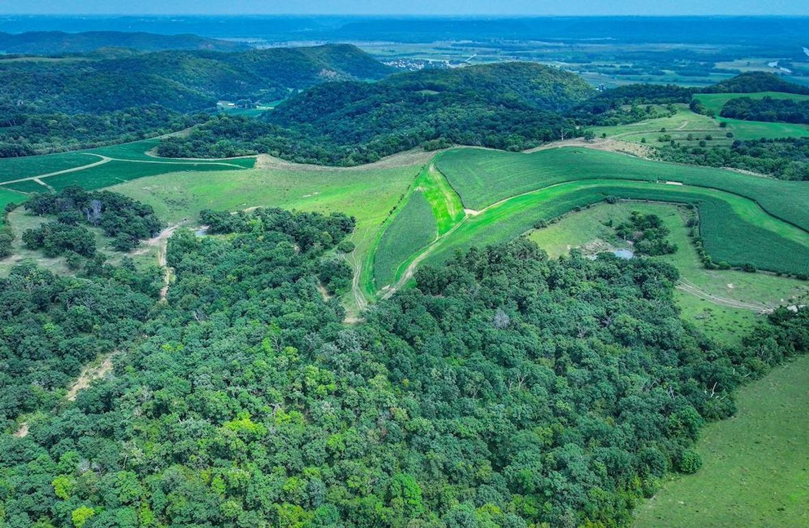 New Albin 8_8 edits-08