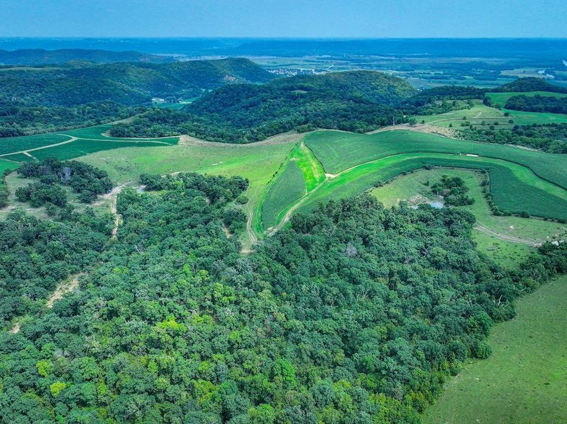 New Albin 8_8 edits-08