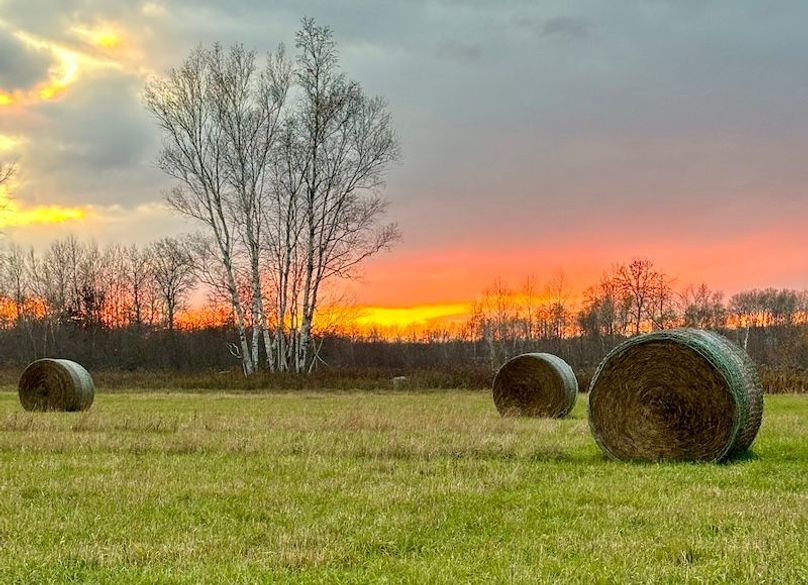 FullSizeRender-preview