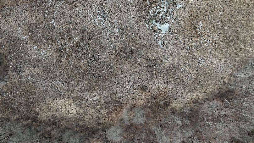 DJI_20250304105351_0100_D