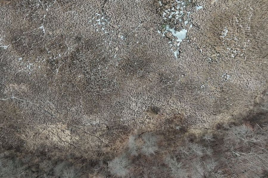 DJI_20250304105351_0100_D
