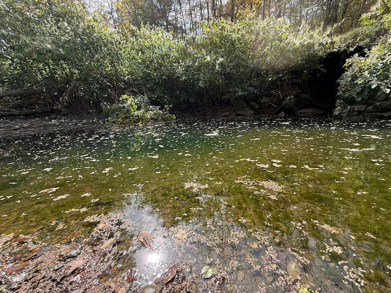 Tioga_30_Flanner Photo 45