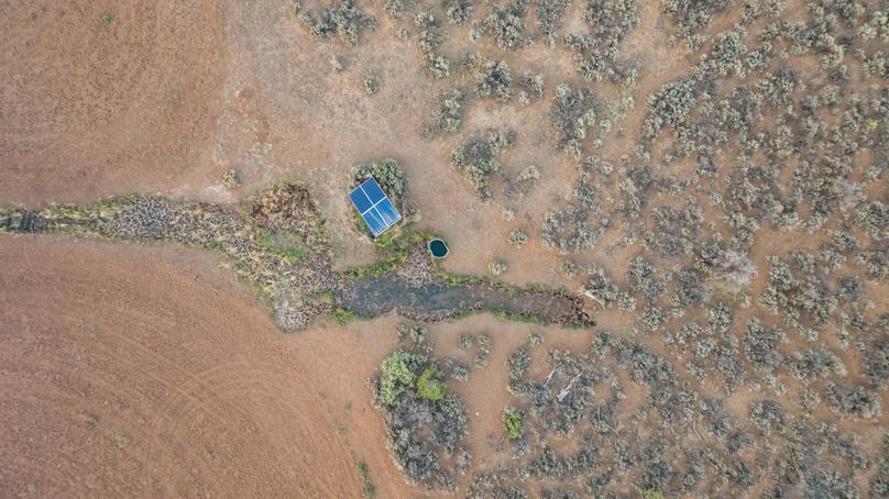 DJI_0479_1