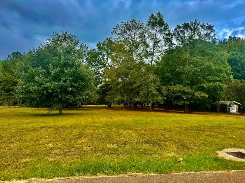 A5A9A32D-B1AE-4F89-A16F-3CFE14611BE8_1_201_a