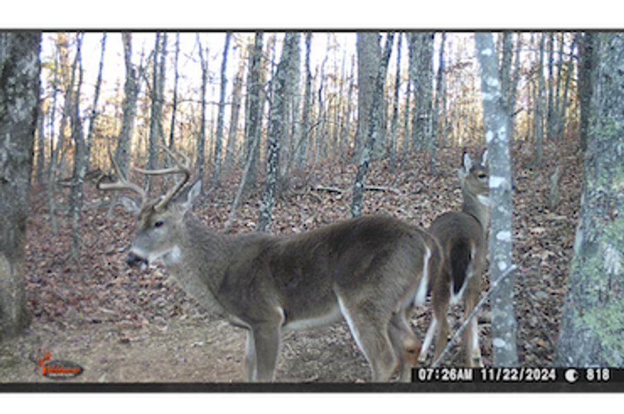 IMG_20250222_120949