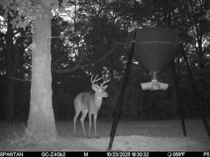 trail cam5