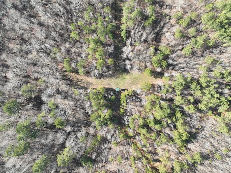 DJI_0943