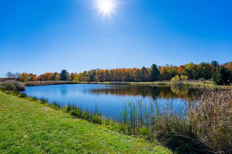 44868WarnerGROUND-23