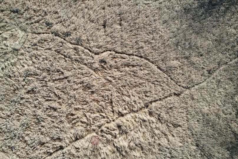 dji_fly_20240412_094620_550_1712933397673_photo