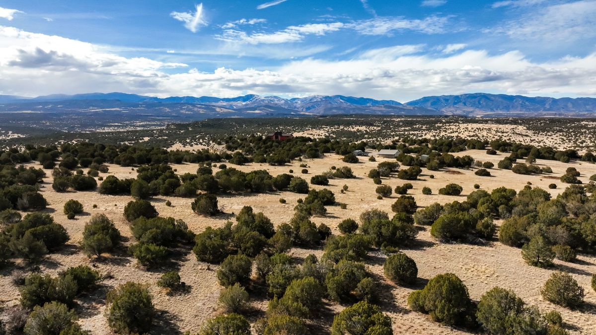 Elevated Building Parcel In Red Creek Ranch | Whitetail Properties