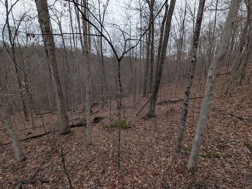 PXL_20260107_204748831.MP