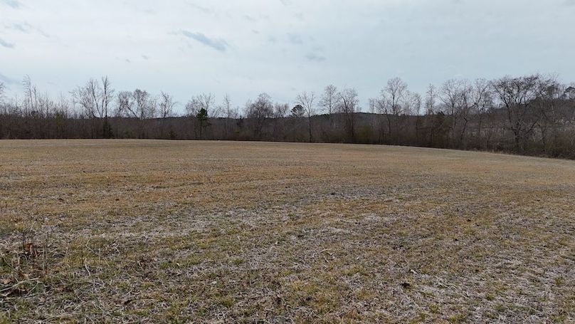 dji_fly_20260218_164602_0035_1771452055055_photo