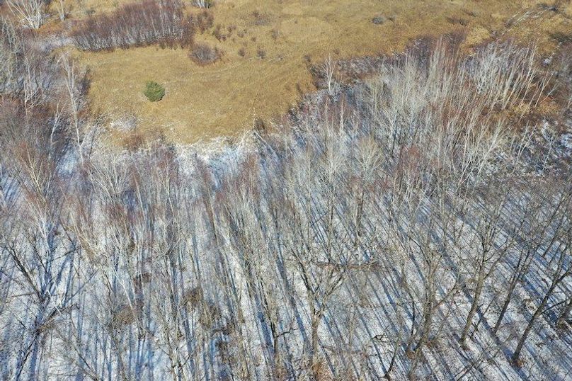 org_7e46db0ab57e7b12_1708452660000