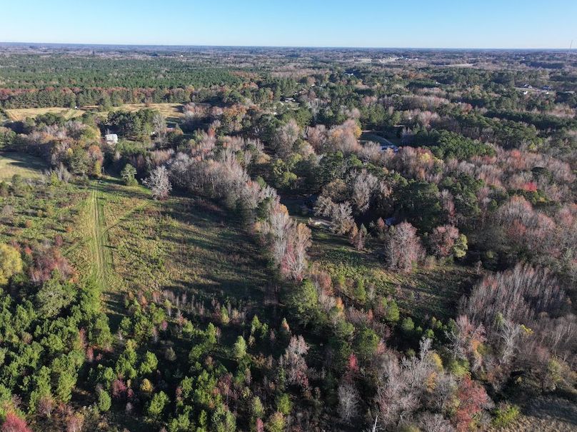 Copy of DJI_20241124090202_0207_D