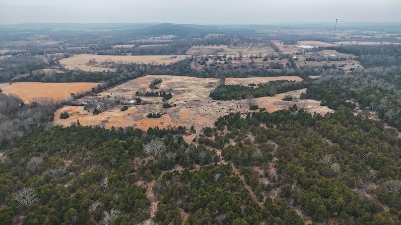 DJI_20250204233605_0047_D