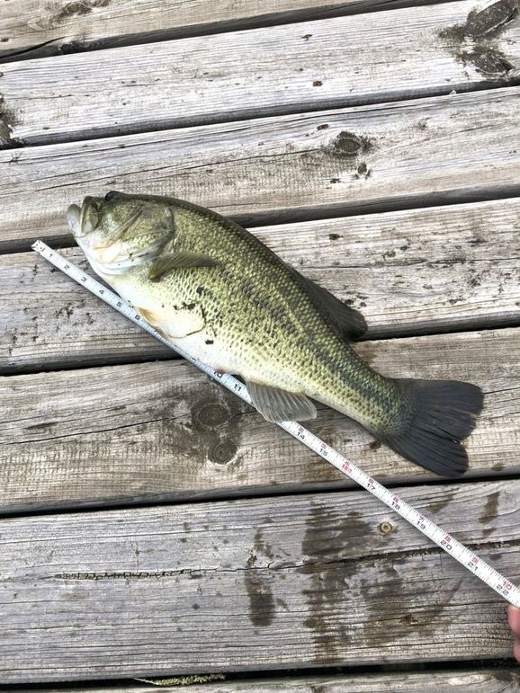 cdad743d-c632-479f-91aa-359610e2d3eb (2)