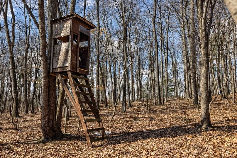 24-web-or-mls-IMG-24