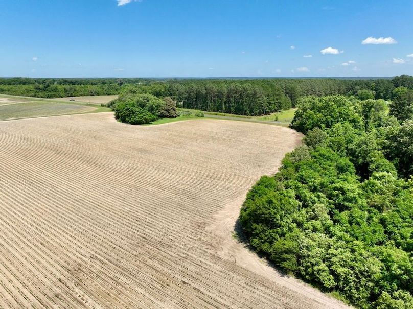 dji_fly_20250521_145046_900_1747853585240_photo