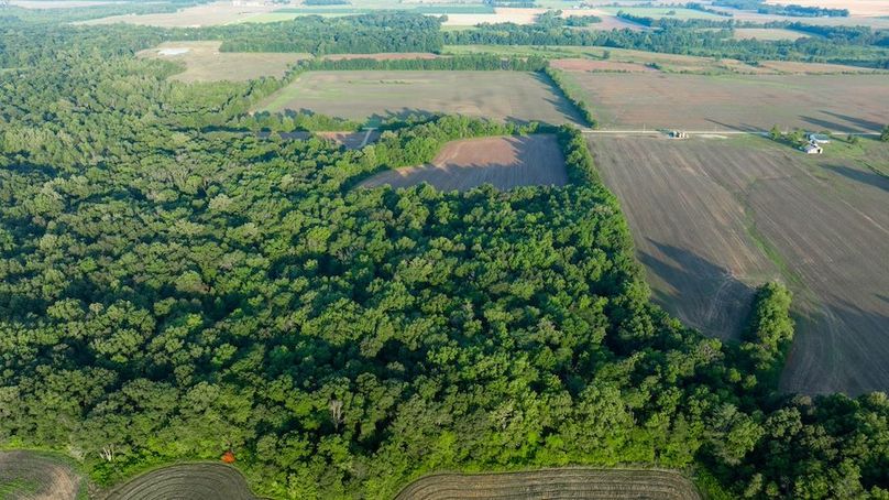 Copy of DJI_20250703173845_0035_D